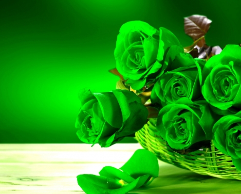 Green Roses